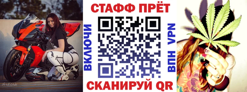 Меф Светлогорск