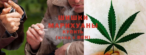 трава Переславль-Залесский