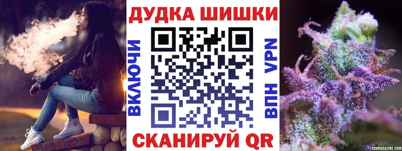 Бошки Шишки планчик  Светлогорск 